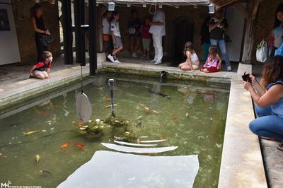 Visite du lavoir Sainte-Genevive  Magny le Hongre