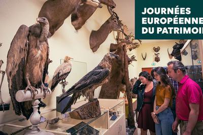 Journes Europennes du Patrimoine  l'Universit De Rennes