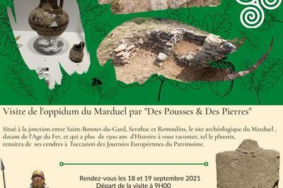 Journes Europennes du Patrimoine : Visite de l'oppidum du Marduel par Des Pousses & Des Pierres  Sernhac