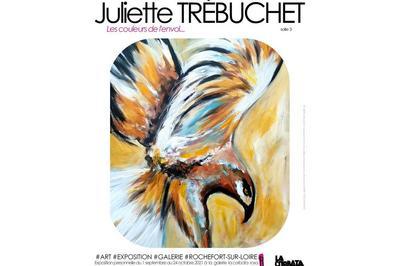 Juliette Trbuchet, les couleurs de l'envol  Angers