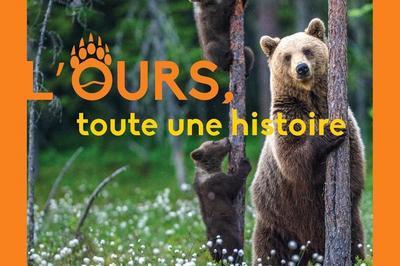 L'ours, Toute Une Histoire  Montauban