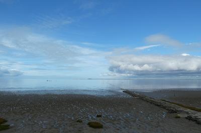 La baie de l'Aiguillon au fil des saisons  Esnandes