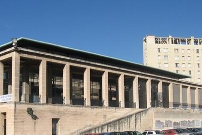 La Bibliothque Universitaire Sort De Sa Rserve  Marseille