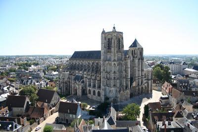 La cathdrale de Bourges pour tous !