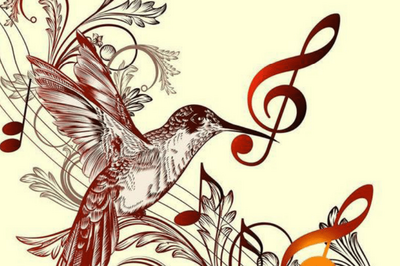 La Fabuleuse Histoire Des Oiseaux Dans La Musique  Bastia