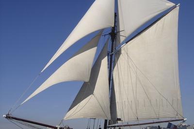 La Flneuse, Bateau d'Intrt Patrimonial  Marseille