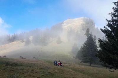 La monte des alpages  Vacheresse