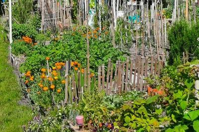 La nature, allie du jardinier  Pessac