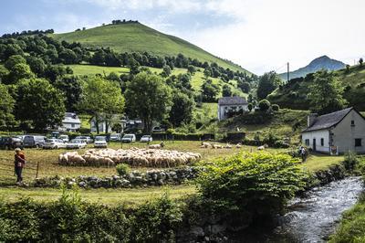 La transhumance, patrimoine culturel immatriel de l'humanit  Laruns