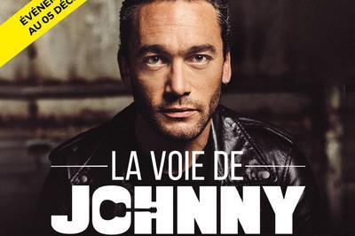 La Voie De Johnny - report à Paris 12ème