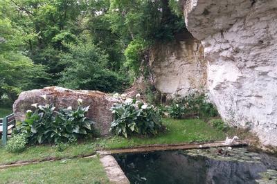 Laissez-vous guider  la dcouverte de plantes aromatiques  Saint Clair