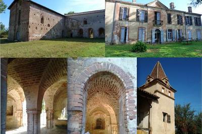 Laissez-vous guider dans le parc arbor d'une abbaye du XIIIe sicle  Lafrancaise