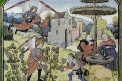 Comment cultiver son jardin  Fontiers Cabardes