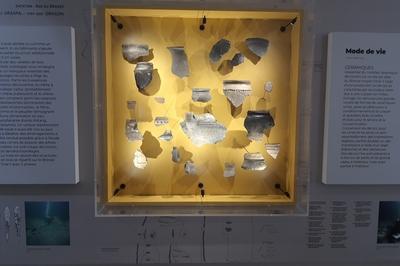  Les Visites clairantes  : Dcouvrez Les Oeuvres D'un Muse D'archologie Sous-marine Unique En France !  Agde