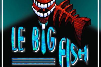 Le Big Fish en solo  Marseille