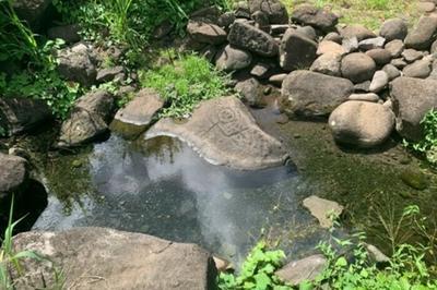 Le caue de la guadeloupe : La Coulisse  Trois Rivieres