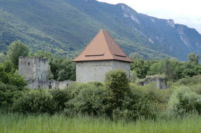 Le chteau de Thomas II, un palais ruin entre lac et marais  Le Bourget du Lac