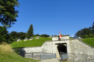 Le Fort De Tami, Un Gant Aux Portes Des Grandes Alpes  Mercury