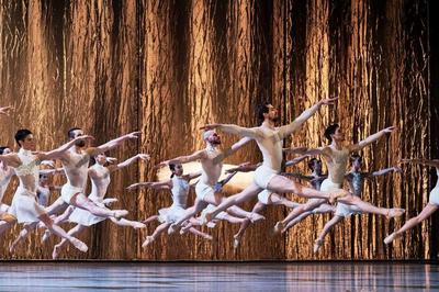 Le Lac des cygnes | CCN - Ballet de l'Opra National du Rhin - Radhouane El Meddeb  Sete