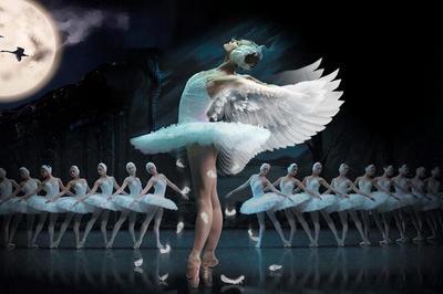 Ballet & Orch - Le Lac Des Cygnes - report à Tours