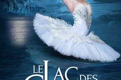 Le Lac Des Cygnes - Ballet & Orch - report  Dijon