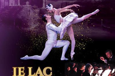 Le Lac Des Cygnes International Festival Ballet  Floirac
