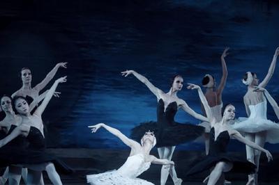 Le Lac Des Cygnes Par Le Grand Ballet De Kiev  Saint Ismier