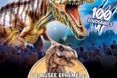 Le Muse phmre Des Dinosaures  Vesoul