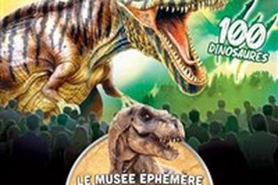 Le muse phmre des dinosaures  Narbonne