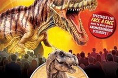 Le Muse phmre : Exposition de dinosaures  Albi