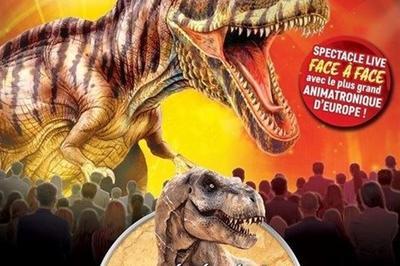 Le musée éphémère exposition de dinosaures  à Chalon sur Saone