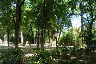 Le Parc Magnol, Un Patrimoine Naturel Pour Apprendre Sur Notre Relation  La Nature?  Montpellier