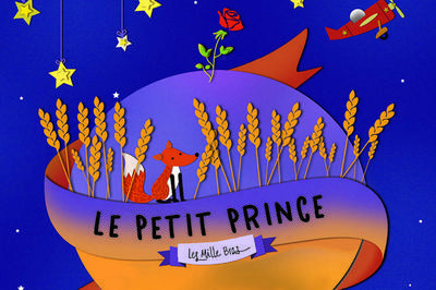 Le Petit Prince à Toulouse