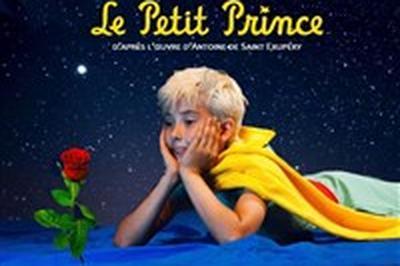 Le Petit Prince, d'aprs l'oeuvre d'Antoine de Saint Exupery  Bordeaux