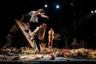 Le Premier Artifice et Cirque Queer  Lannion