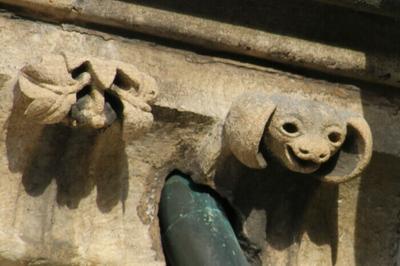 Les animaux dans la cathédrale à Bourges