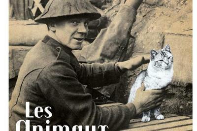 Les animaux et la Grande Guerre  Availles Limouzine