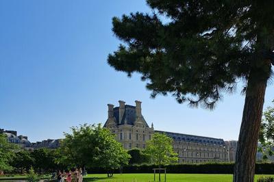 Visite promenade sur les arbres du jardin des Tuileries à Paris 1er