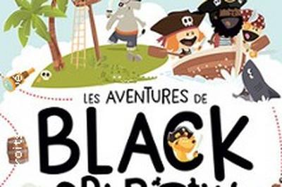 Les Aventures De Black Sparow  Grenoble