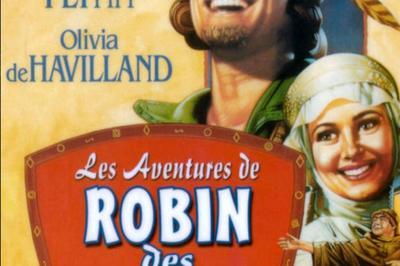 Les Aventures De Robin Des Bois  Pont saint Esprit
