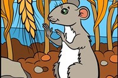 Les aventures du rat Patatra  Grenoble