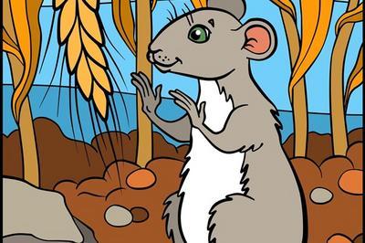 Les aventures du rat patatra à Grenoble