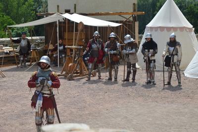 Les chevaliers de l'Ost du Phnix  Montrond les Bains