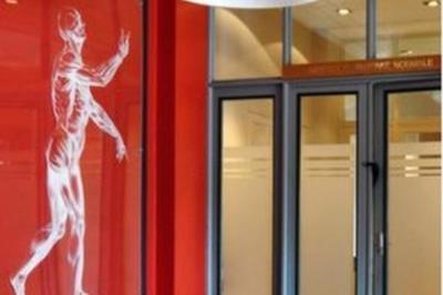 Les collections de l'institut d'anatomie normale  Strasbourg