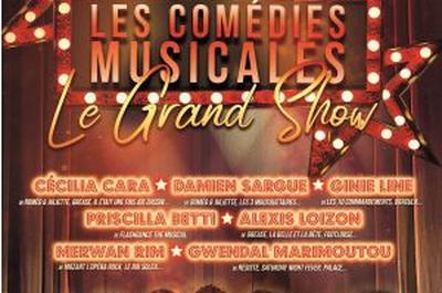 Les Comedies Musicales à Villeurbanne