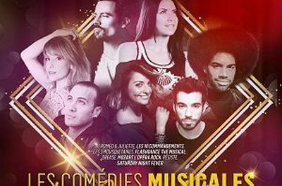 Les Comedies Musicales  Nantes
