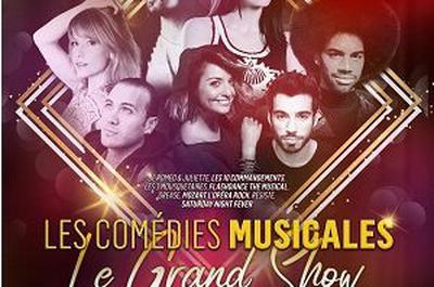 Les Comedies Musicales  Lille