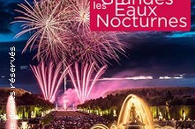 Les Grandes Eaux Nocturnes Electro  Versailles