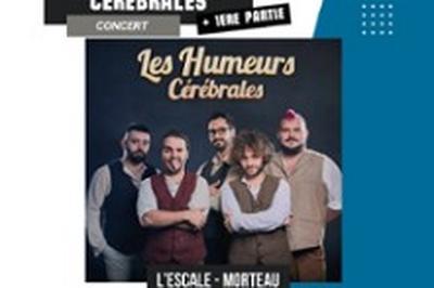 Les Humeurs Crbrales  Morteau