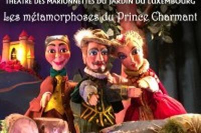 Les Mtamorphoses du Prince Charmant  Paris 6me